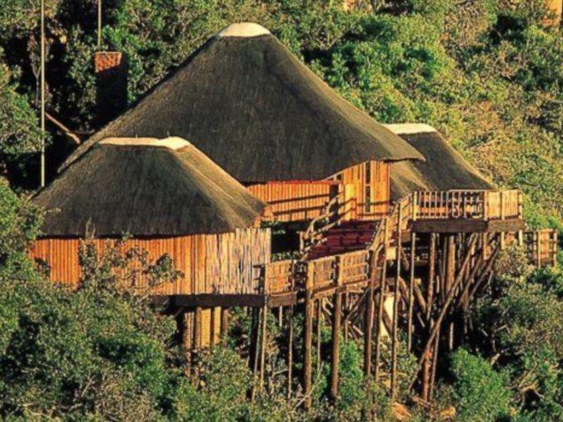Entabeni Private Game Reserve Mookgophong Exterior foto